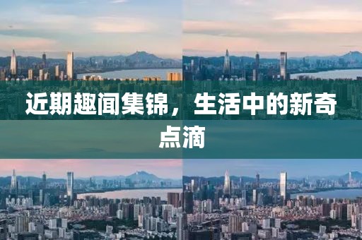 近期趣闻集锦，生活中的新奇点滴