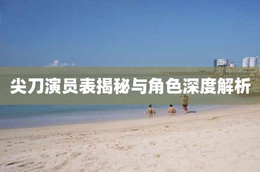 尖刀演员表揭秘与角色深度解析