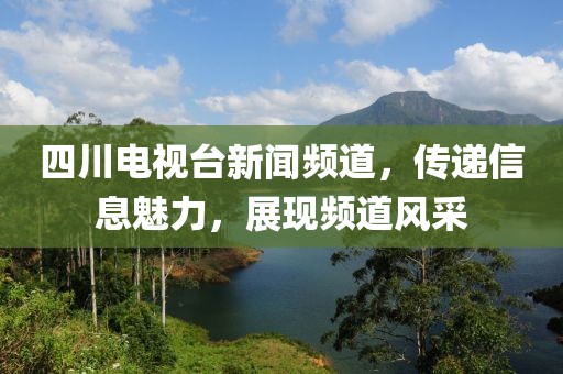 四川电视台新闻频道，传递信息魅力，展现频道风采