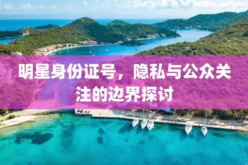 明星身份证号，隐私与公众关注的边界探讨