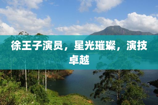 徐王子演员，星光璀璨，演技卓越