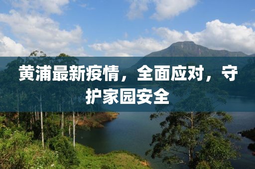 黄浦最新疫情，全面应对，守护家园安全