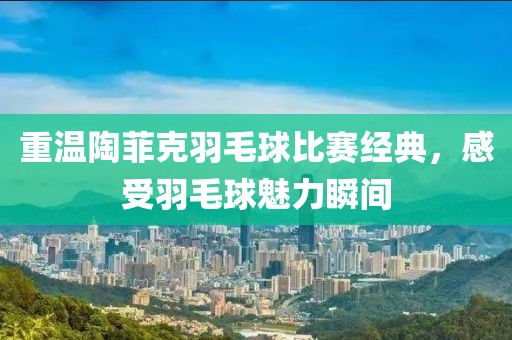 重温陶菲克羽毛球比赛经典，感受羽毛球魅力瞬间