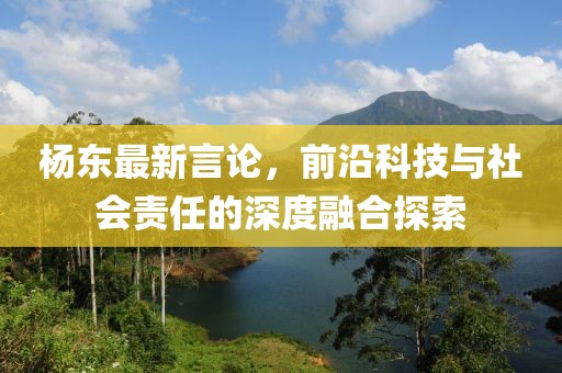 杨东最新言论，前沿科技与社会责任的深度融合探索