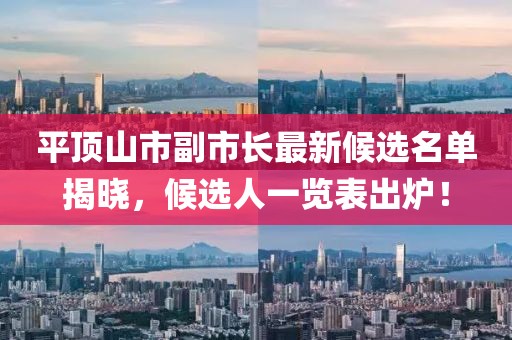平顶山市副市长最新候选名单揭晓，候选人一览表出炉！