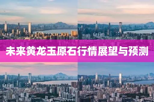 未来黄龙玉原石行情展望与预测
