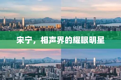 宋宁，相声界的耀眼明星