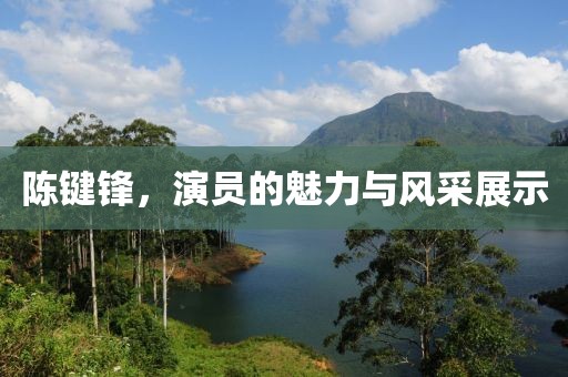 陈键锋，演员的魅力与风采展示