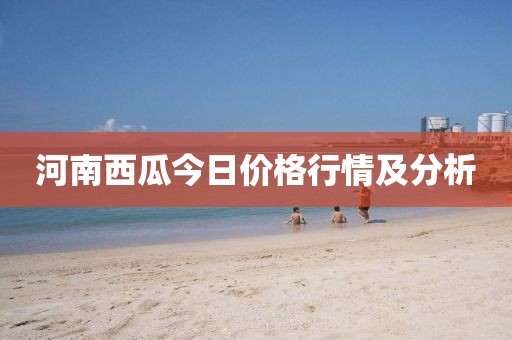 河南西瓜今日价格行情及分析