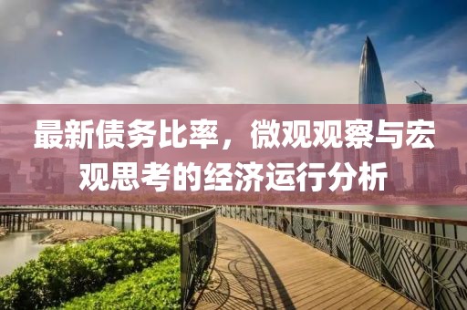 最新债务比率，微观观察与宏观思考的经济运行分析