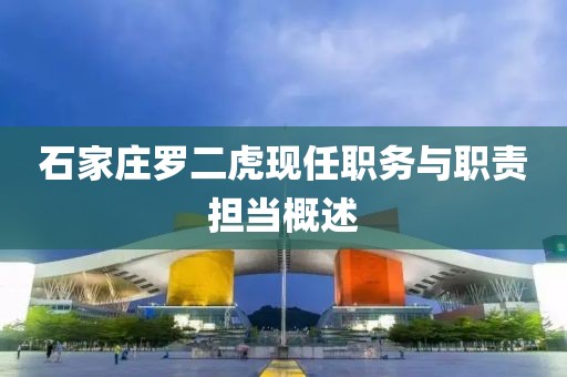 石家庄罗二虎现任职务与职责担当概述