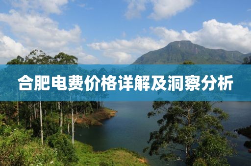合肥电费价格详解及洞察分析