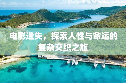 电影迷失，探索人性与命运的复杂交织之旅