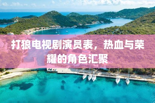 打狼电视剧演员表，热血与荣耀的角色汇聚