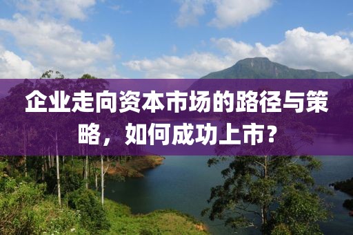 企业走向资本市场的路径与策略，如何成功上市？