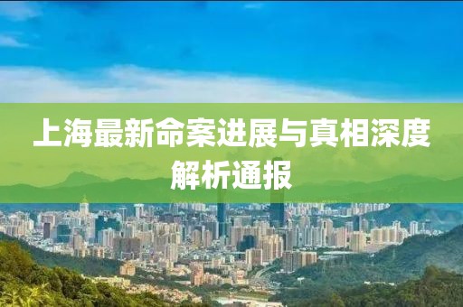 上海最新命案进展与真相深度解析通报