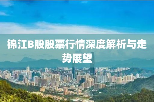 锦江B股股票行情深度解析与走势展望