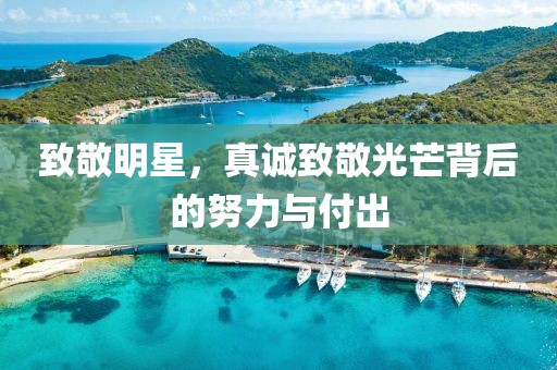 致敬明星，真诚致敬光芒背后的努力与付出