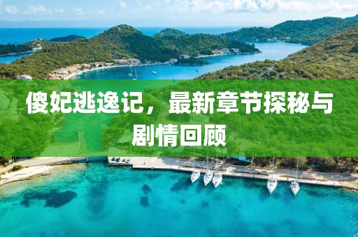 傻妃逃逸记，最新章节探秘与剧情回顾
