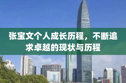 张宝文个人成长历程，不断追求卓越的现状与历程