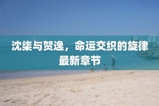 沈柒与贺逸，命运交织的旋律最新章节