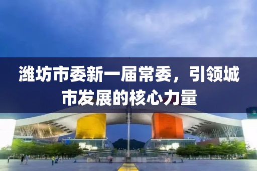 潍坊市委新一届常委，引领城市发展的核心力量