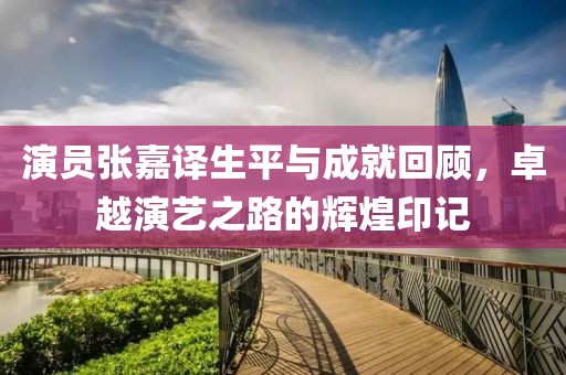 演员张嘉译生平与成就回顾，卓越演艺之路的辉煌印记