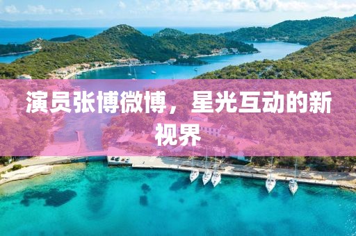 演员张博微博，星光互动的新视界
