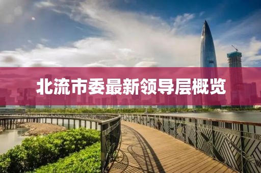 北流市委最新领导层概览