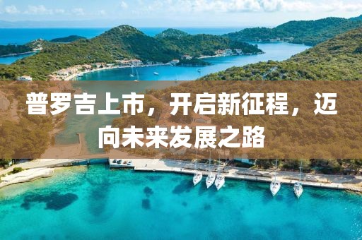 普罗吉上市，开启新征程，迈向未来发展之路