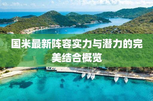 国米最新阵容实力与潜力的完美结合概览