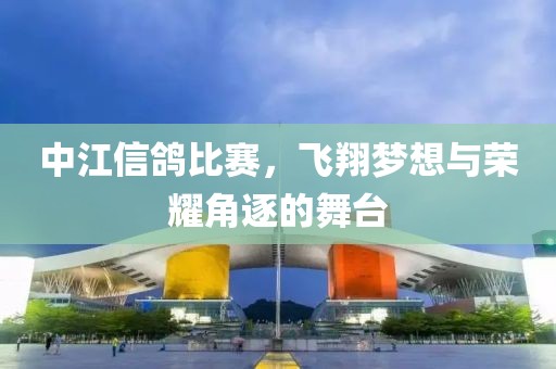 中江信鸽比赛，飞翔梦想与荣耀角逐的舞台