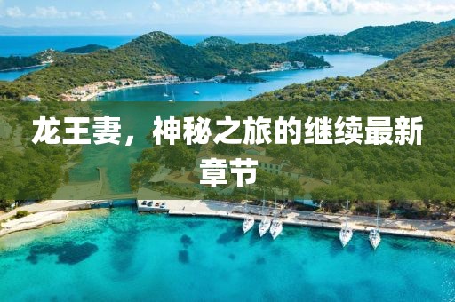 龙王妻，神秘之旅的继续最新章节
