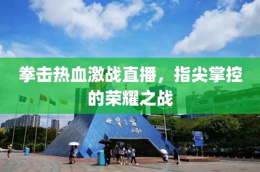 拳击热血激战直播，指尖掌控的荣耀之战