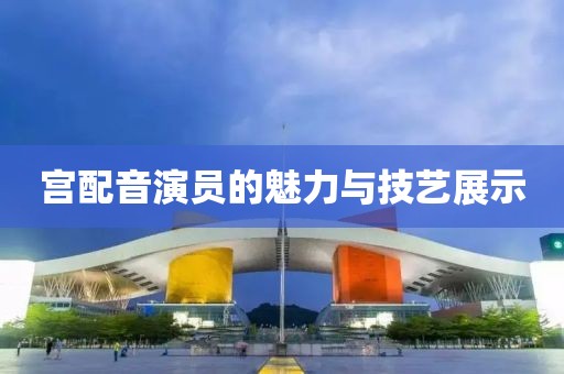 宫配音演员的魅力与技艺展示
