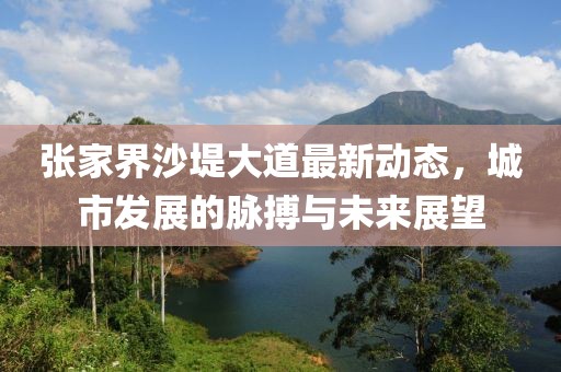 张家界沙堤大道最新动态，城市发展的脉搏与未来展望