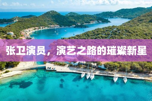 张卫演员，演艺之路的璀璨新星