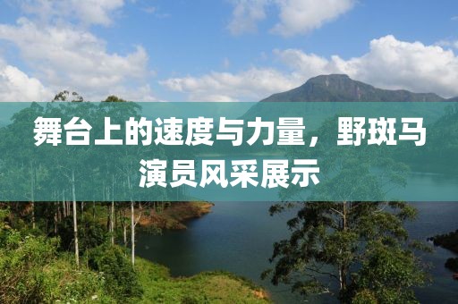 舞台上的速度与力量，野斑马演员风采展示