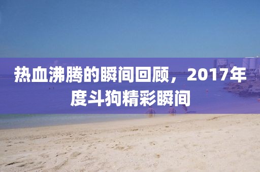 热血沸腾的瞬间回顾，2017年度斗狗精彩瞬间