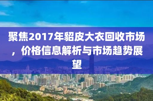聚焦2017年貂皮大衣回收市场，价格信息解析与市场趋势展望