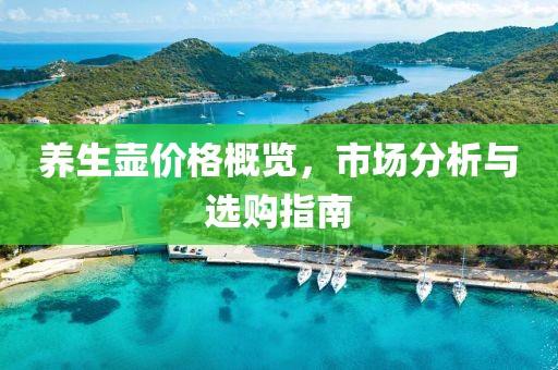 养生壶价格概览，市场分析与选购指南