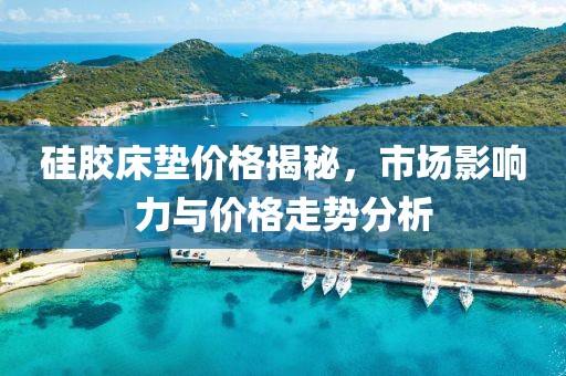 硅胶床垫价格揭秘，市场影响力与价格走势分析