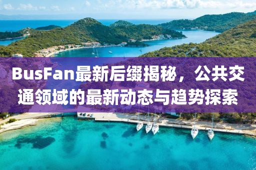 BusFan最新后缀揭秘，公共交通领域的最新动态与趋势探索