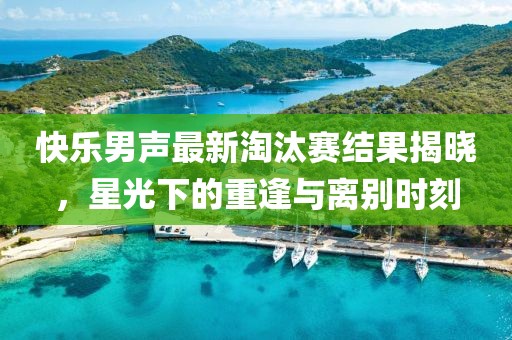 快乐男声最新淘汰赛结果揭晓，星光下的重逢与离别时刻