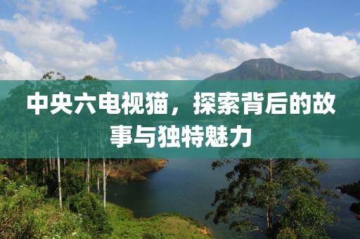 中央六电视猫,探索背后的故事与独特魅力