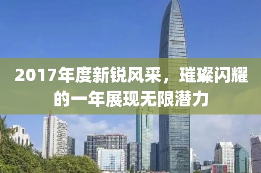 2017年度新锐风采,璀璨闪耀的一年展现无限潜力