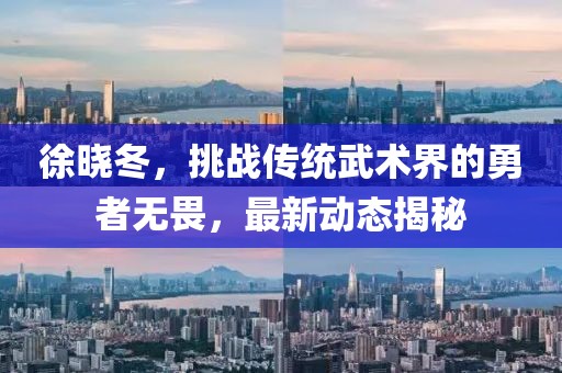 徐晓冬，挑战传统武术界的勇者无畏，最新动态揭秘