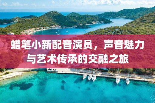 蜡笔小新配音演员,声音魅力与艺术传承的交融之旅