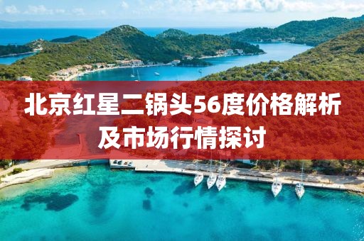 北京红星二锅头56度价格解析及市场行情探讨