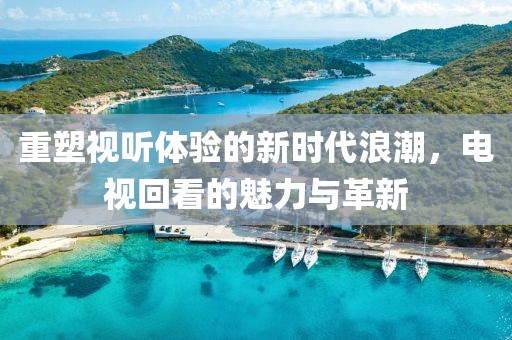 重塑视听体验的新时代浪潮,电视回看的魅力与革新